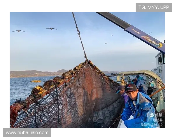 如何选择安全可靠的PA捕鱼网站避免账号被封的实用技巧与注意事项