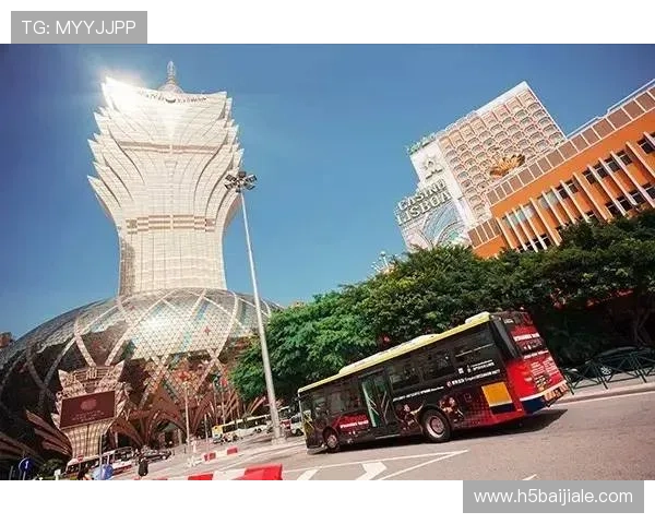 澳门百家乐的玩法规则与实战技巧全方位指导新手入门