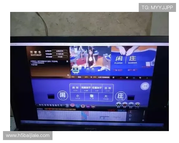 全面解析百家乐路单的基本规则与常见类型，助你轻松掌握游戏技巧