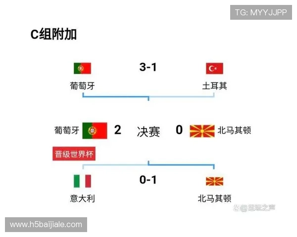 世界杯美国对阵澳大利亚比赛场地详细介绍与赛场设施解析