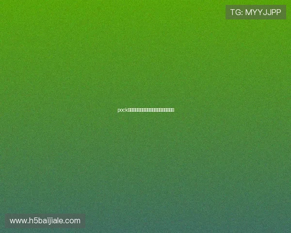 pock在线登录入口及常见登录问题解决方案推荐